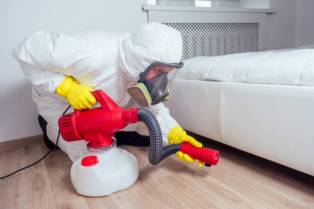 Best Termite Control Services  in Eldridge, IA